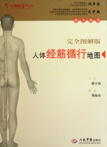 人体经筋循行地图