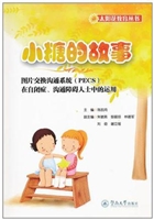 小糖的故事
