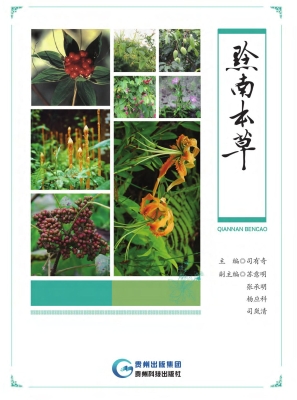 黔南本草