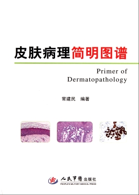 皮肤病理简明图谱