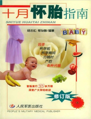 十月怀胎指南