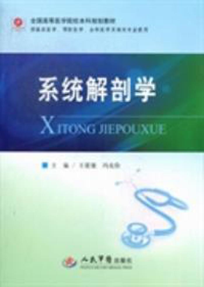 系统解剖学