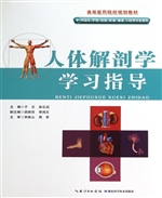 人体解剖学学习指导