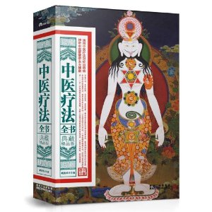 中医疗法全书：典藏精品