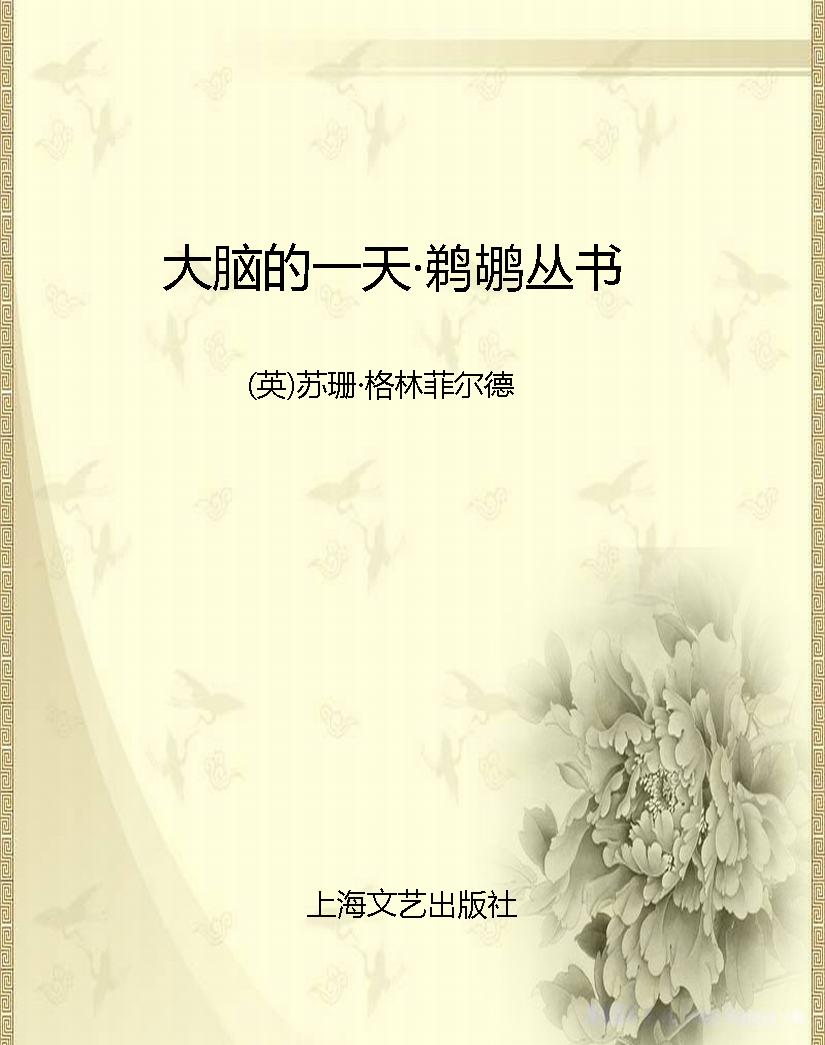 大脑的一天·鹈鹕丛书