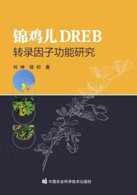 锦鸡儿DREB转录因子功