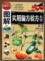 图解实用偏方 验方大