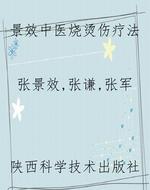景效中医烧烫伤疗法