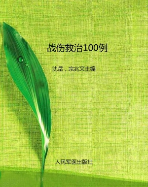 战伤救治100例