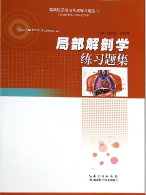 局部解剖学练习题集