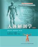 人体解剖学