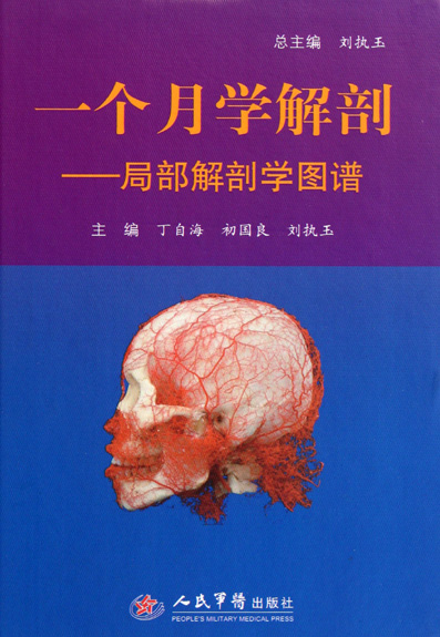 一个月学解剖——局部
