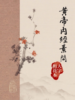 黄帝内经素问（大字梅花