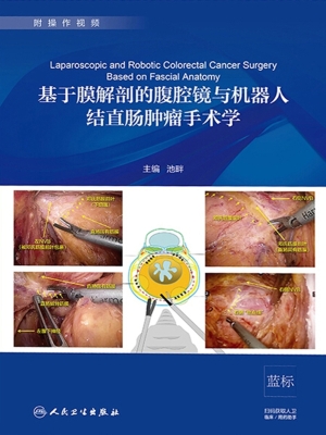 基于膜解剖的腹腔镜与