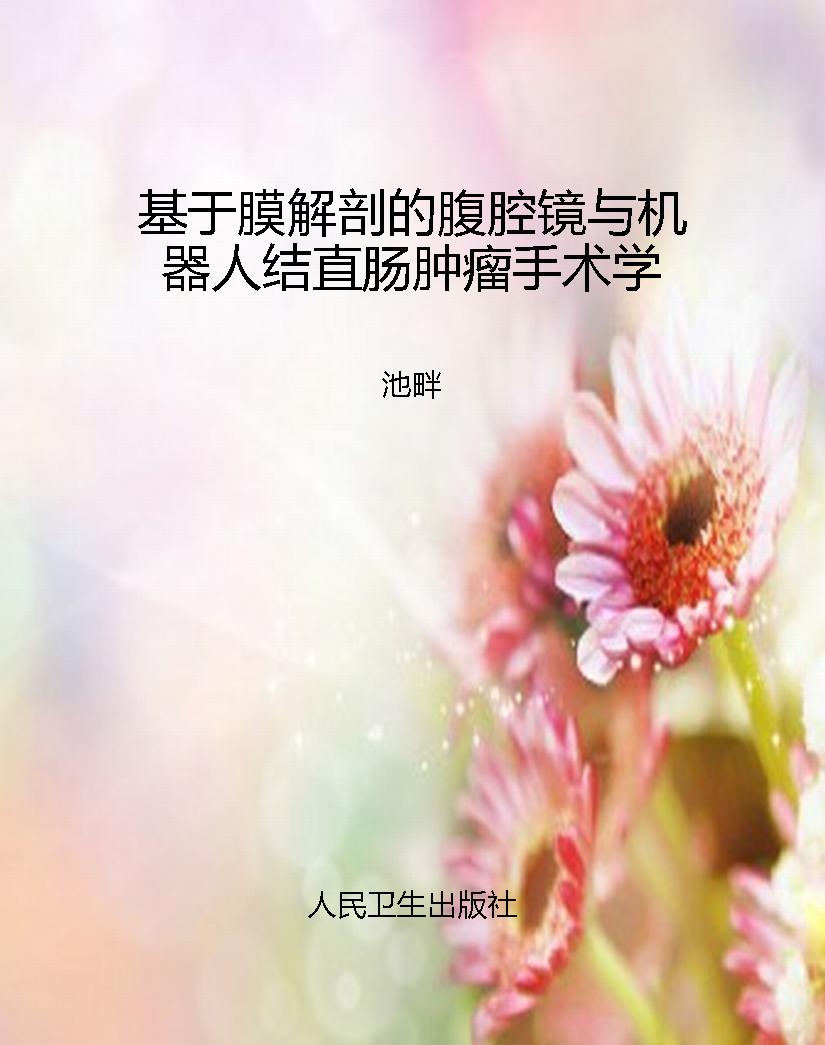 基于膜解剖的腹腔镜与