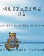 湖北省卫生服务调查报