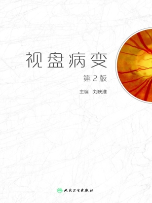视盘病变