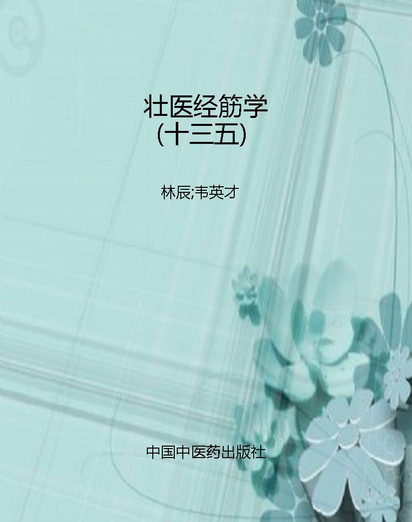 壮医经筋学（十三五）
