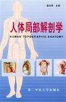 人体局部解剖学