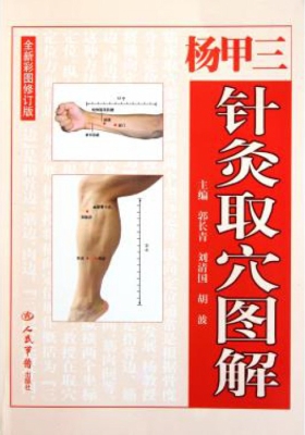 杨甲三针灸取穴图解（全
