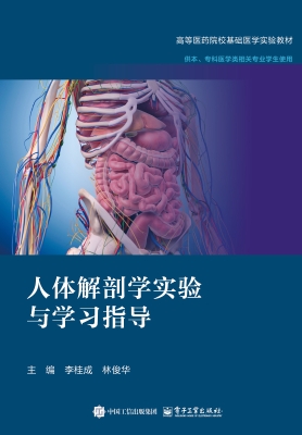 人体解剖学实验与学习