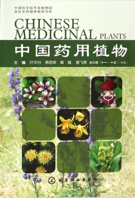 中国药用植物（十三）