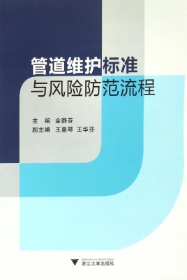 管道维护标准与风险防