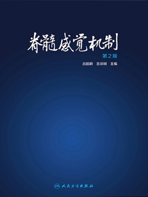 脊髓感觉机制