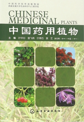 中国药用植物（十一）