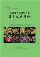 广西靖西县端午药市常