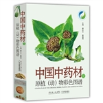 中国中药材及原植（动）物