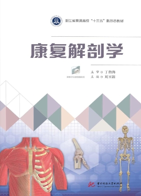康复解剖学