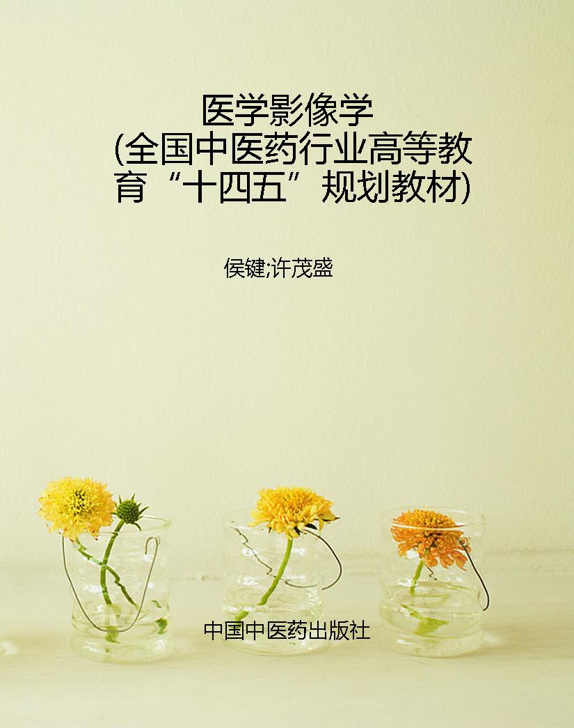 医学影像学（全国中医药