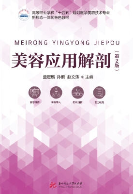 美容应用解剖