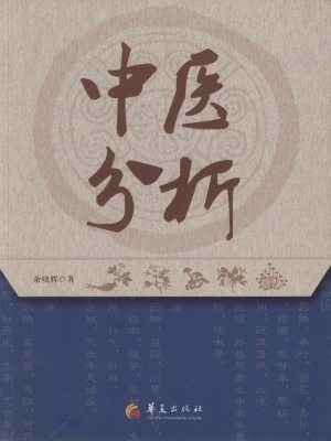 中医分析