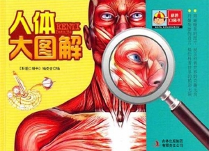 人体大图解