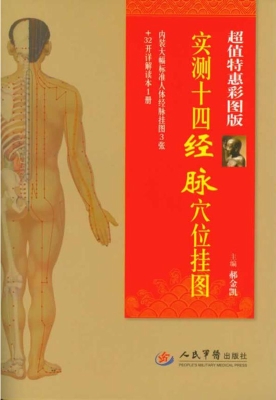 实测十四经脉穴位挂图