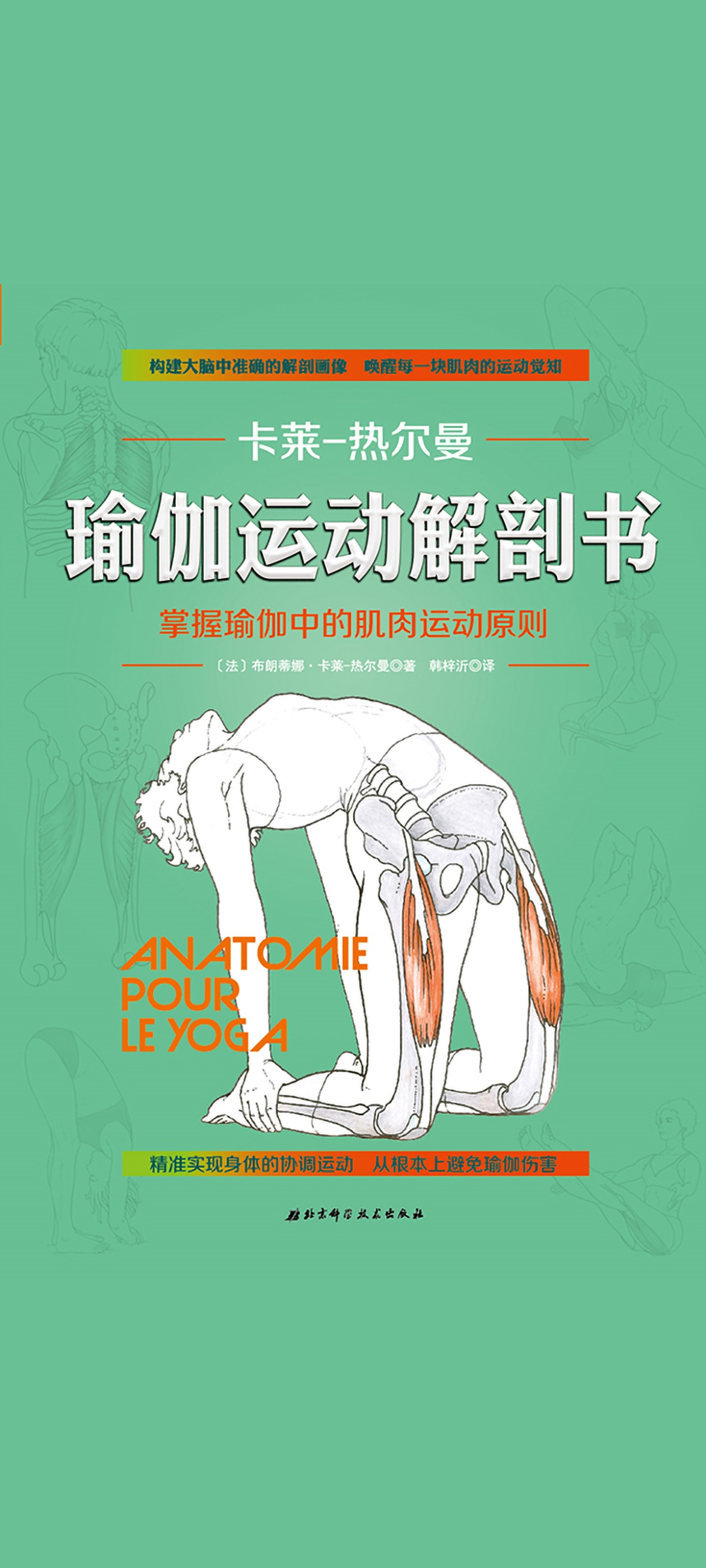 瑜伽运动解剖书
