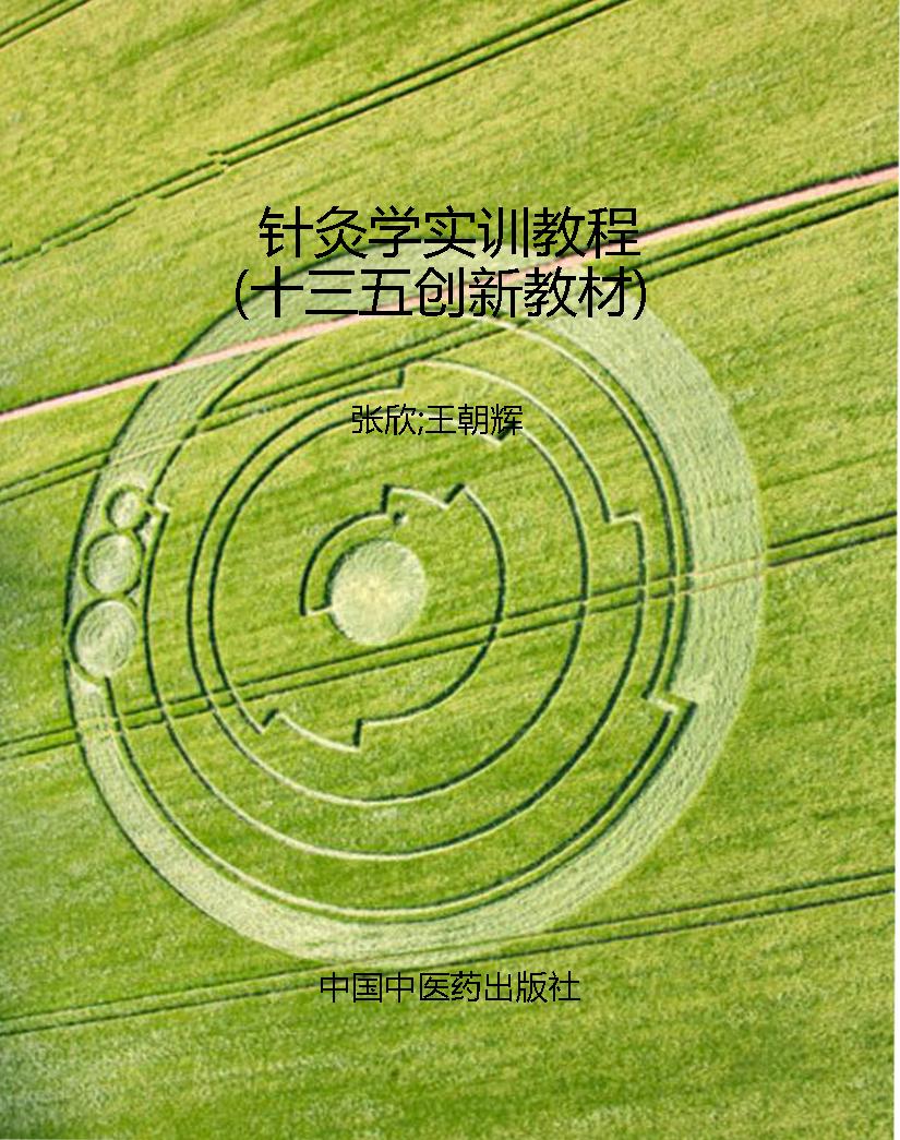 针灸学实训教程（十三五