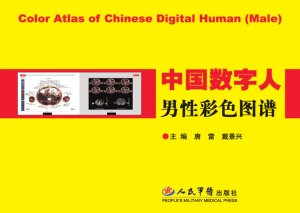 中国数字人男性彩色图