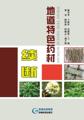 地道特色药材续断