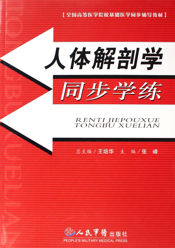 人体解剖学同步学练