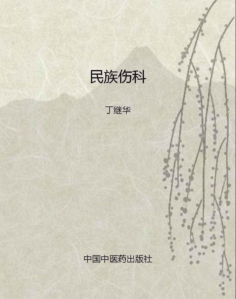 民族伤科
