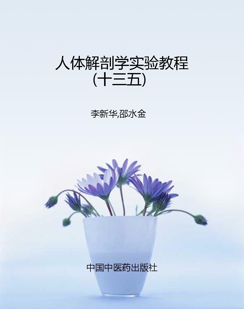 人体解剖学实验教程（十