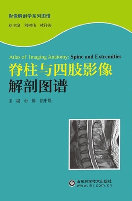 脊柱与四肢影像解剖图