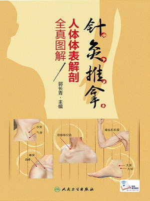 针灸推拿人体体表解剖