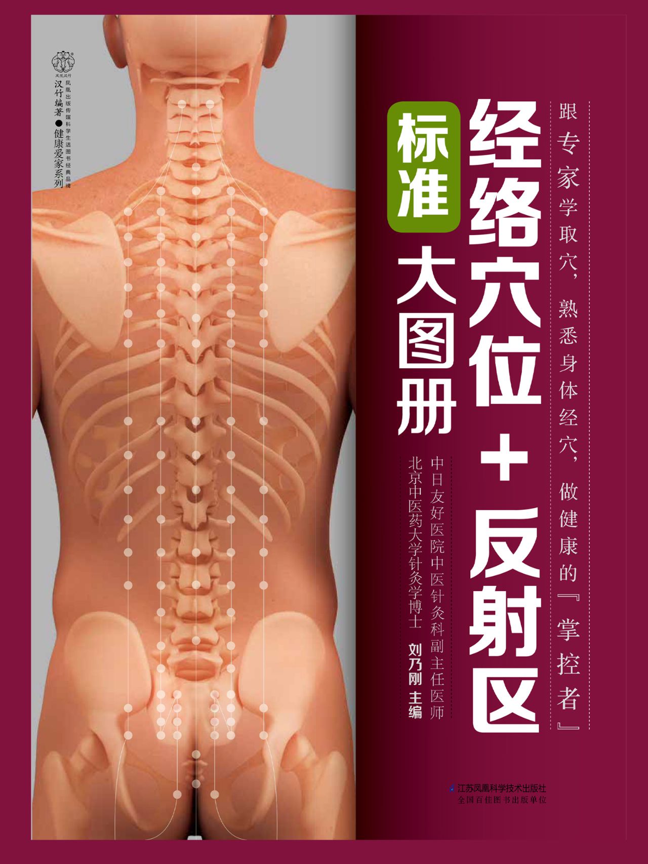 经络穴位+反射区标准