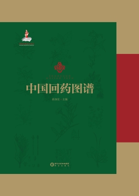 中国回药图谱