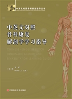 中英文对照骨科康复解
