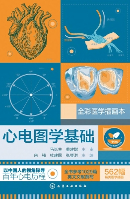 心电图学基础